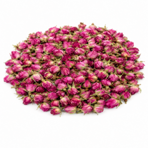 غنچه گل محمدی