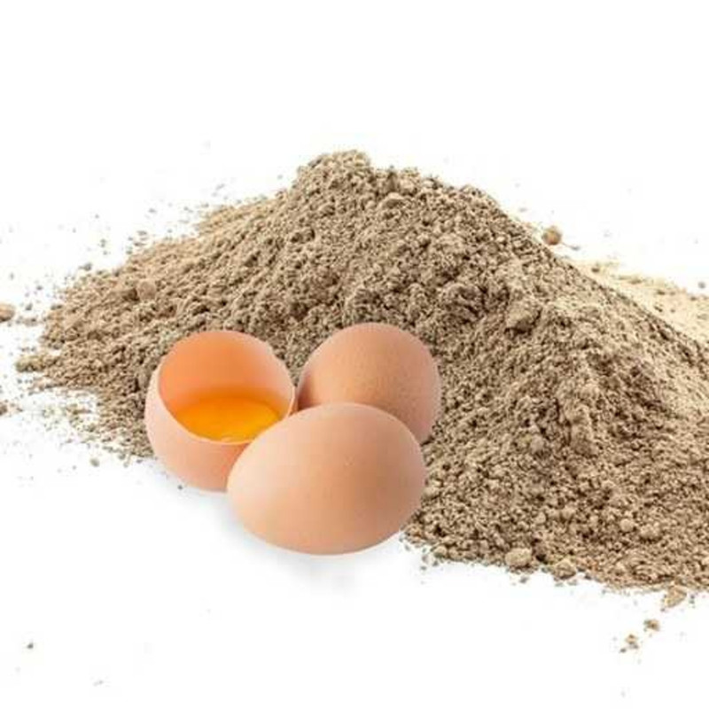 پودر سفیده تخم مرغ شکلاتی